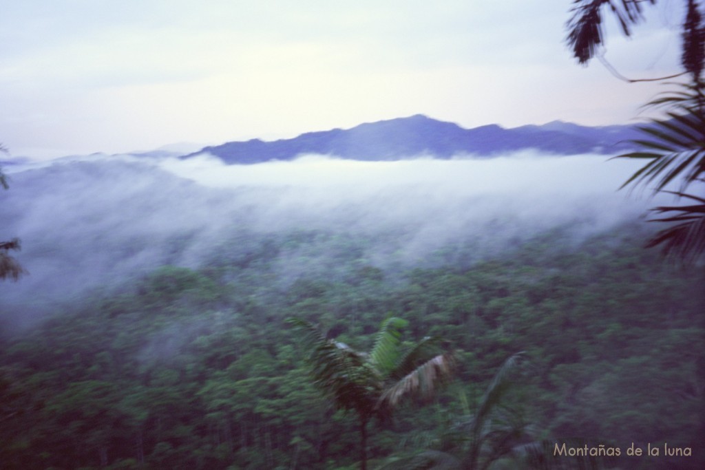 Niebla y mal tiempo desde el mirador a la selva en la Reserva Nantar